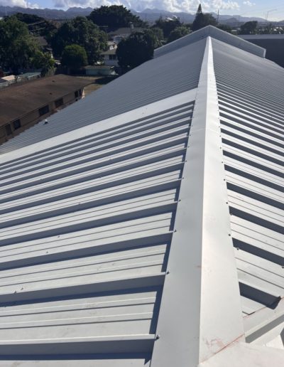 professional metal roof