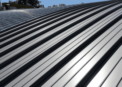 Metal Roofing