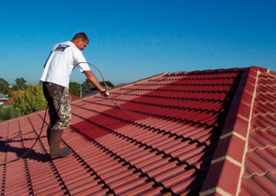 Roof-Painting